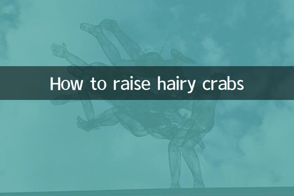 बालों वाले केकड़े कैसे पालें