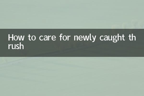 Como cuidar de sapinhos recém-capturados