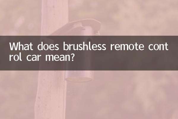 브러시리스 원격 제어 자동차는 무엇을 의미합니까?
