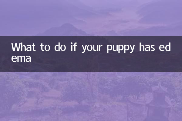 Что делать, если у щенка отеки