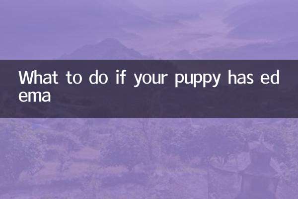 Что делать, если у щенка отеки