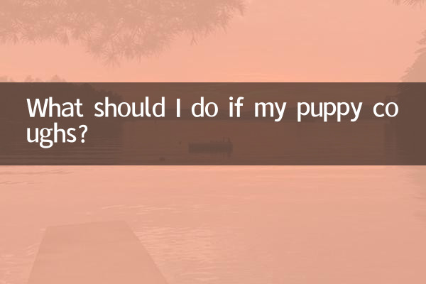 Que dois-je faire si mon chiot tousse ?