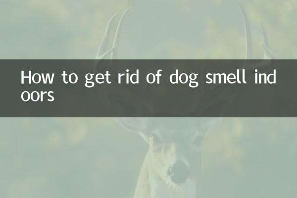 怎麼去除室內狗味