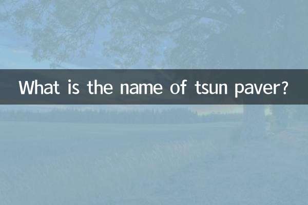 Quel est le nom du pavé tsun ?