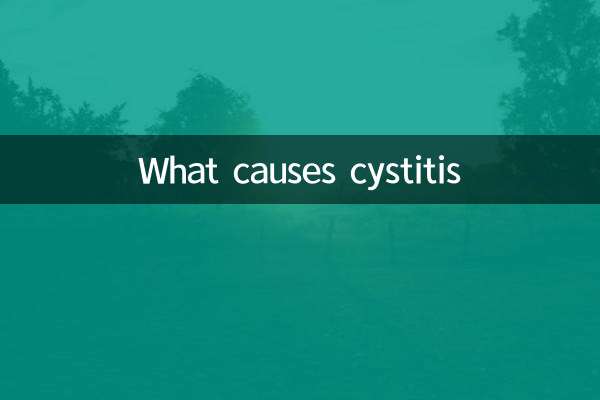 ¿Qué causa la cistitis?