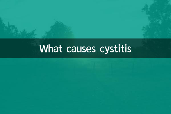 ¿Qué causa la cistitis?