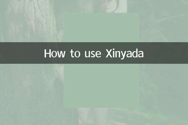 Cómo utilizar Xinyada
