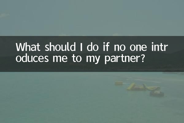 What should I do if no one introduces me to my partner?