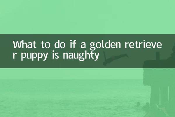 金毛幼犬調皮怎麼辦