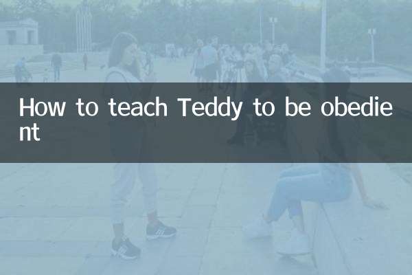 怎麼訓泰迪聽話