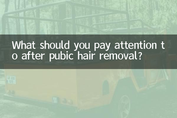 음모 제거 후 주의할 점은 무엇인가요?