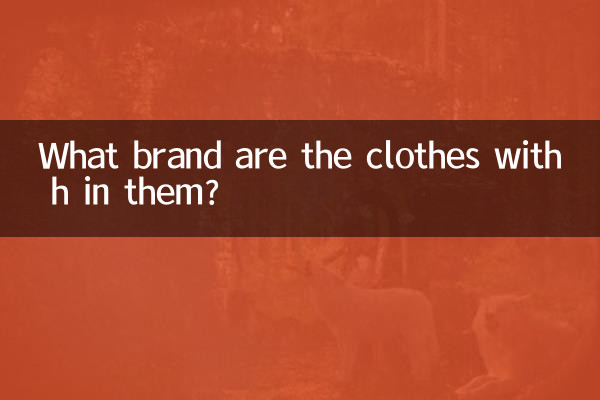 ¿De qué marca es la ropa que tiene h?