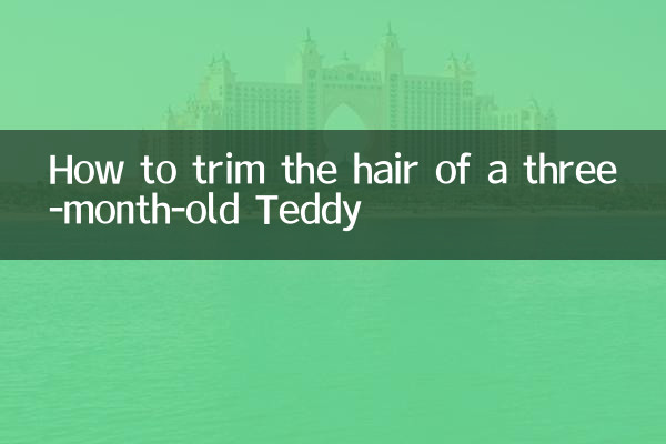 چگونه موهای تدی سه ماهه را کوتاه کنیم