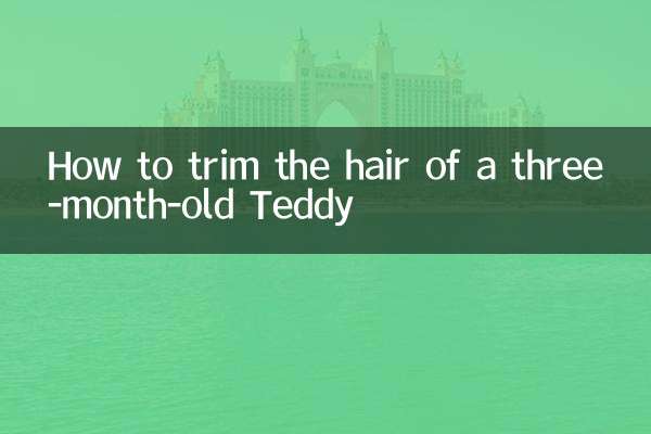 كيفية قص شعر تيدي عمره ثلاثة أشهر