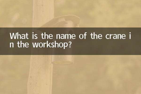 ما اسم الرافعة الموجودة في الورشة؟