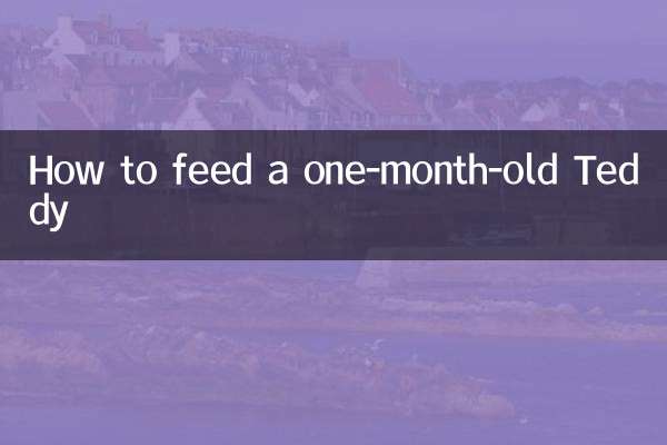 كيفية إطعام تيدي عمره شهر واحد