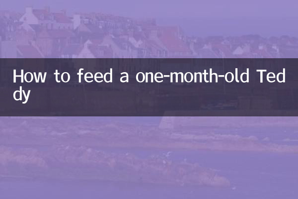 كيفية إطعام تيدي عمره شهر واحد