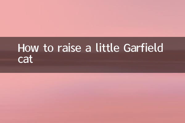 چگونه یک گربه گارفیلد کوچک بزرگ کنیم؟