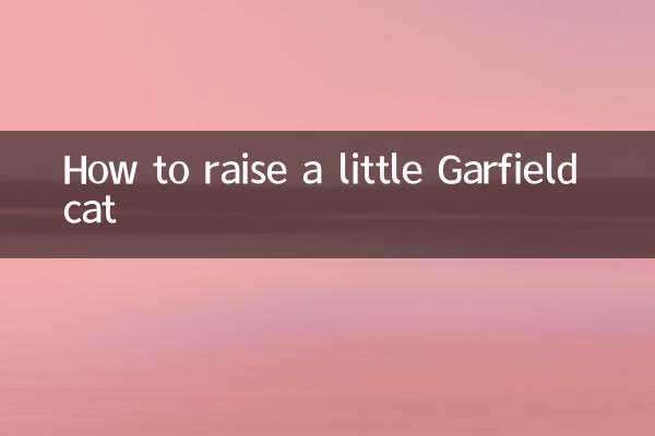 چگونه یک گربه گارفیلد کوچک بزرگ کنیم؟