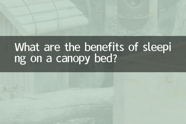 چھتری والے بستر پر سونے کے کیا فوائد ہیں؟