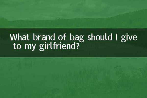 Que marca de bolsa devo dar para minha namorada?