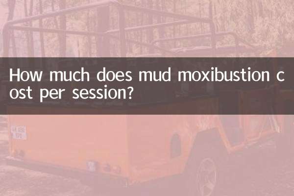 泥灸多少錢一次