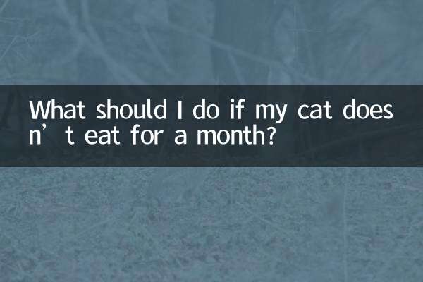 اگر میری بلی ایک مہینے کے لئے نہیں کھاتی ہے تو مجھے کیا کرنا چاہئے؟