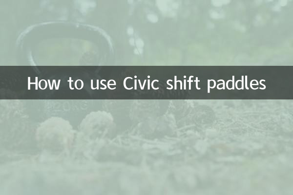 시민용 변속 패들을 사용하는 방법