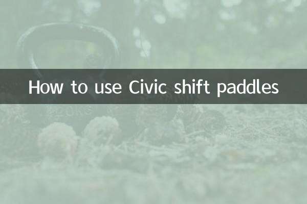 시민용 변속 패들을 사용하는 방법