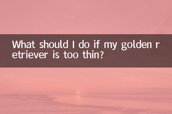 What should I do if my golden retriever is too thin?