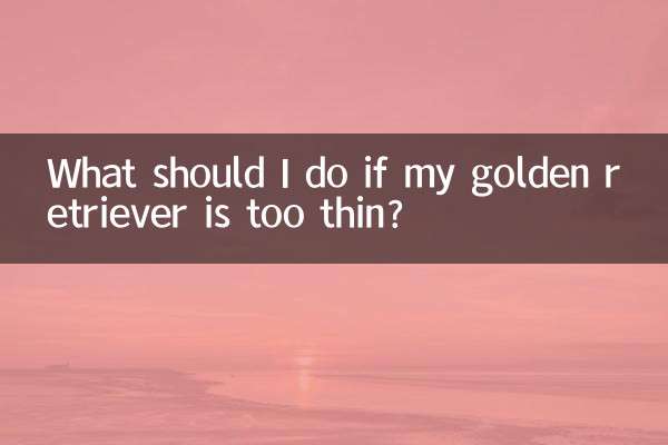 What should I do if my golden retriever is too thin?