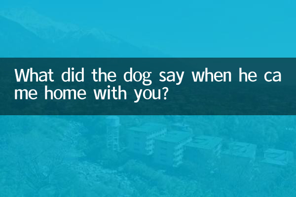 سگ وقتی با شما به خانه آمد چه گفت؟