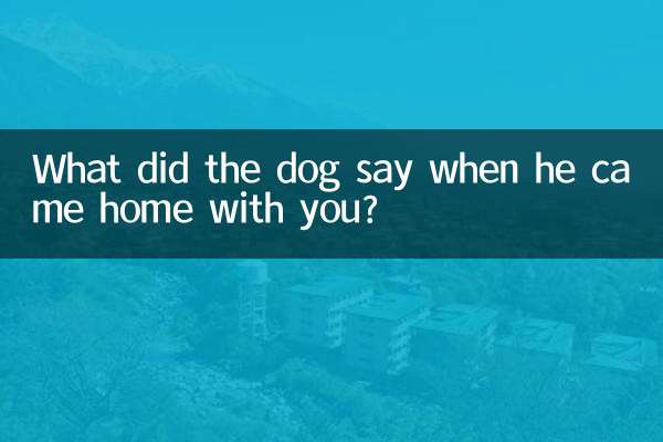 سگ وقتی با شما به خانه آمد چه گفت؟