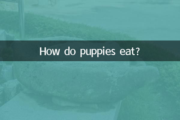 How do puppies eat?