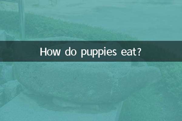 How do puppies eat?