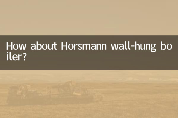 Che ne dici della caldaia murale Horsmann?