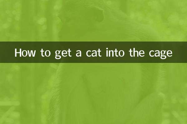 چگونه یک گربه را وارد قفس کنیم