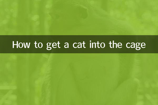 Wie man eine Katze in den Käfig bringt