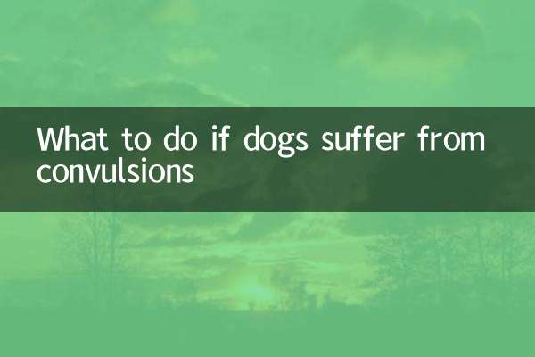 Qué hacer si los perros sufren convulsiones