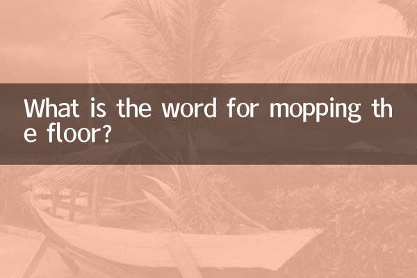 What is the word for mopping the floor?