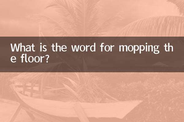 What is the word for mopping the floor?