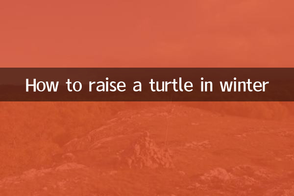How to raise a turtle in winter
