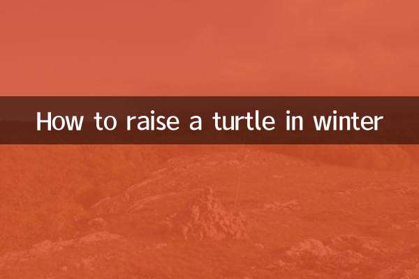 How to raise a turtle in winter