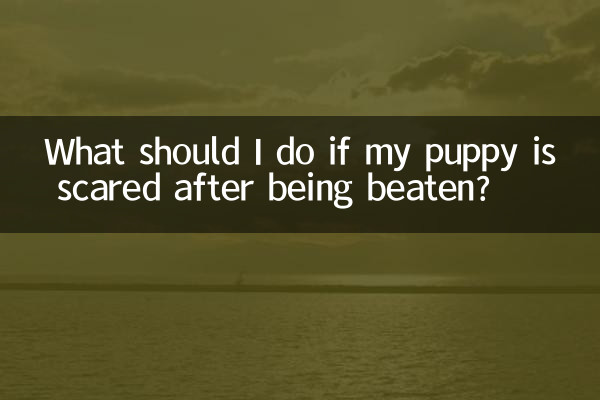 Was soll ich tun, wenn mein Welpe Angst hat, nachdem er geschlagen wurde?