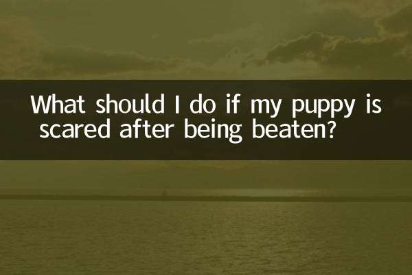Cosa devo fare se il mio cucciolo ha paura dopo essere stato picchiato?