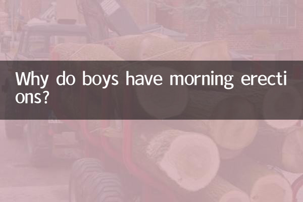 لڑکوں کو صبح کی کھدائی کیوں ہوتی ہے؟