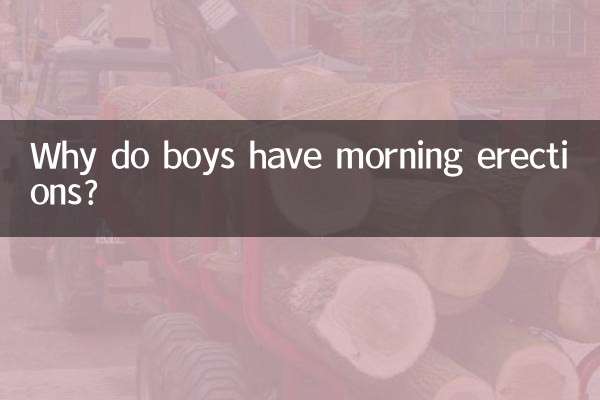 Warum haben Jungen morgens Erektionen?