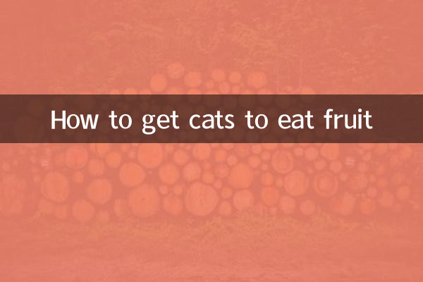 猫に果物を食べさせる方法