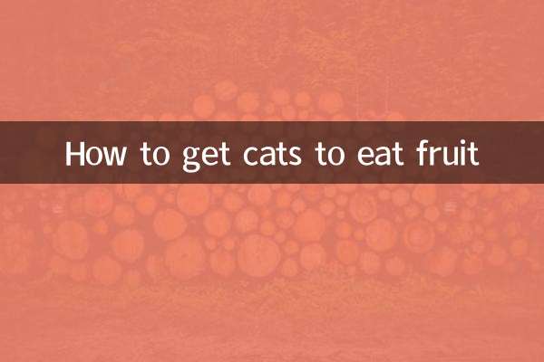 猫に果物を食べさせる方法