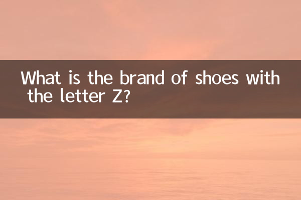 Z অক্ষর সহ জুতা ব্র্যান্ড কি?